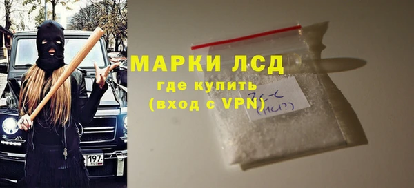 spice Богородицк