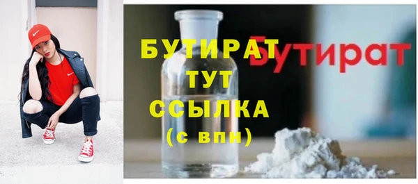 spice Богородицк