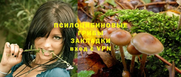 дживик Белоозёрский