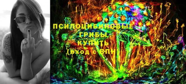 spice Богородицк