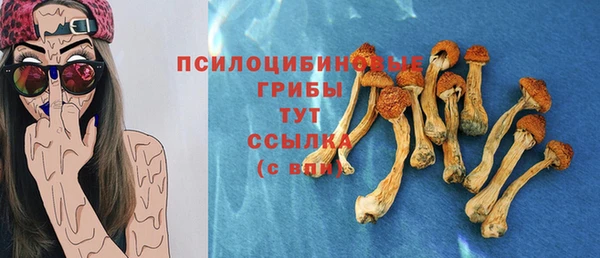 дживик Белоозёрский