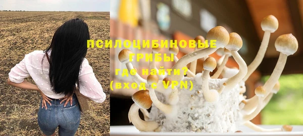 крисы Богданович