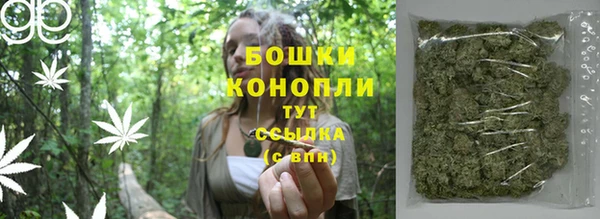 крисы Богданович