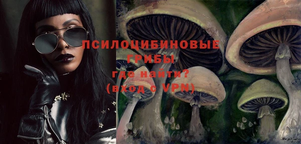 экстази Богородск