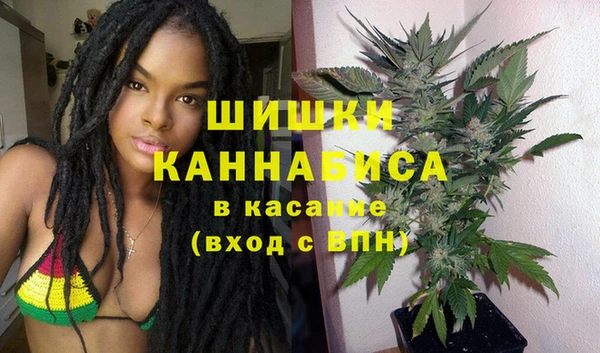 PSILOCYBIN Белокуриха
