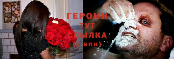 spice Богородицк